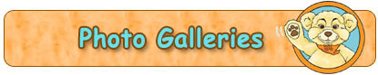 Photo Galleries